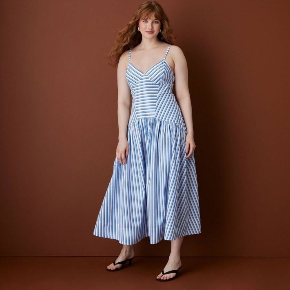 Women's Sleeveless Striped Drop Waist Midi Dress - Rosie Assoulin Blue M